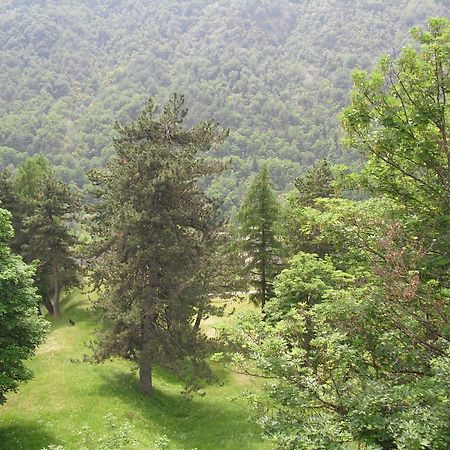 Chalet Monte Nebius Vinadio Ngoại thất bức ảnh